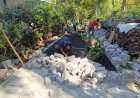 Pengerjaan Pavingisasi di Dusun Klagin Desa Brabe Kab. Probolinggo Menuju 500 Meter